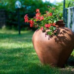 Giardino fiorito da aprile ad ottobre