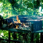 Barbecue und Pavillon im Park